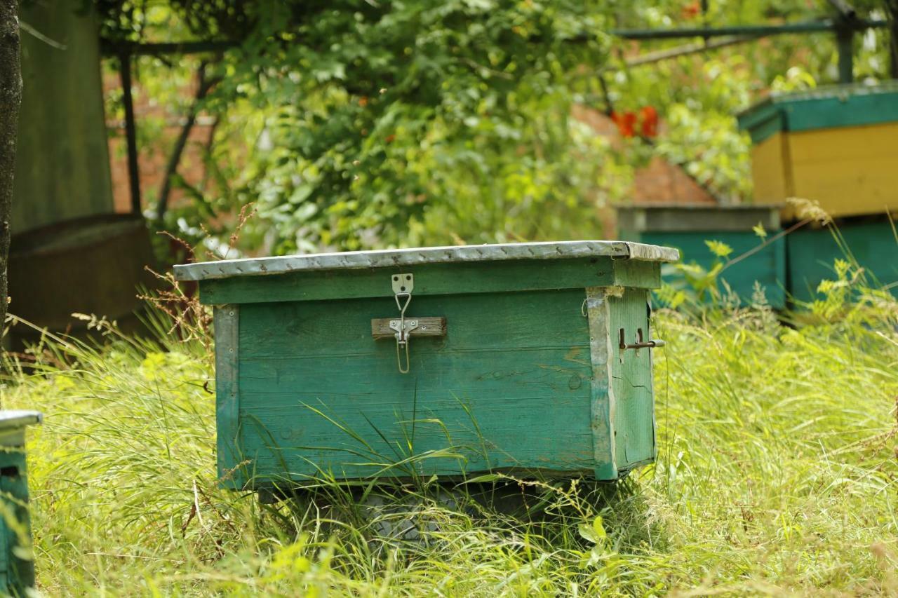 Ferienwohnung Beehives Kutaissi Exterior foto